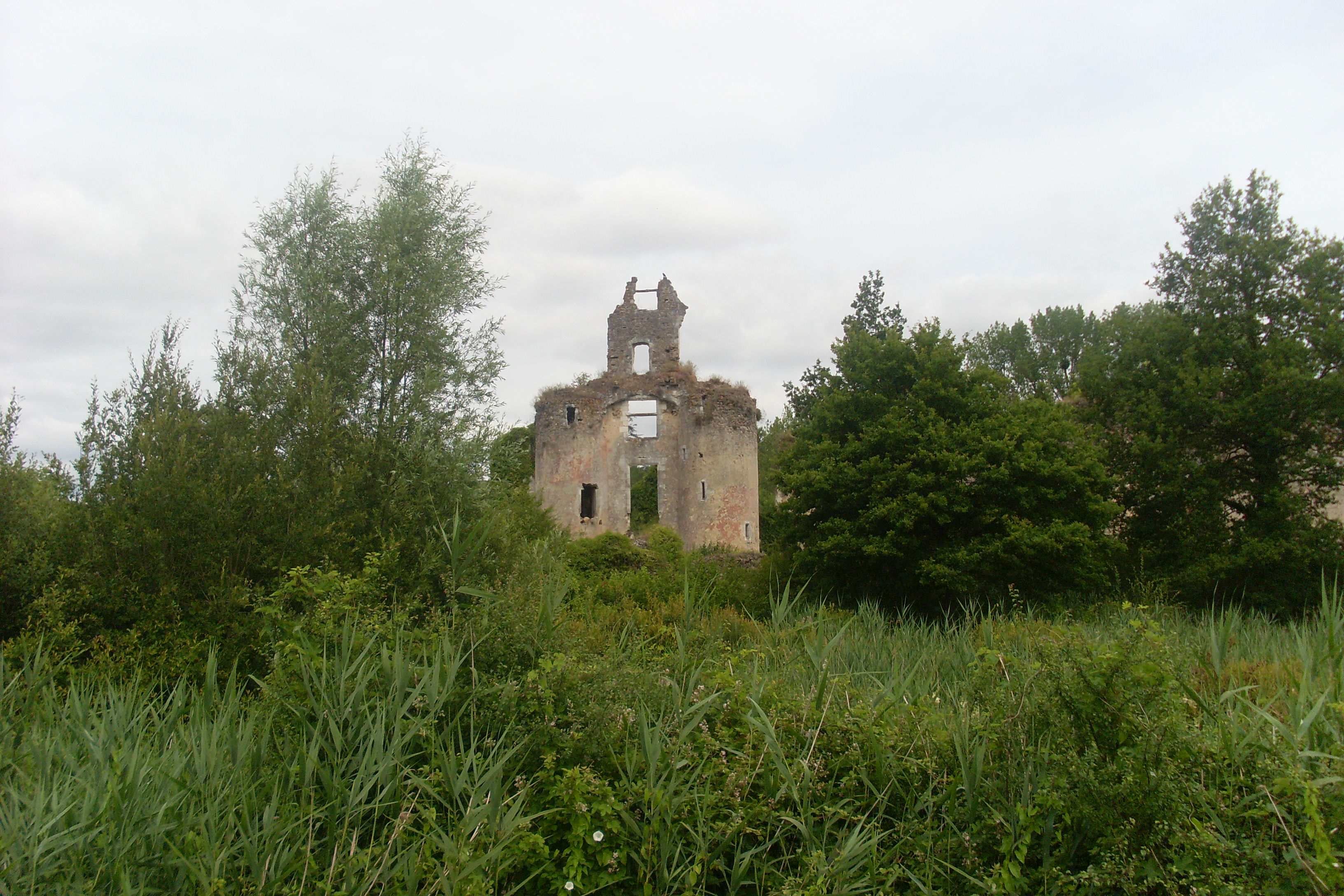 chateau-la-valliere_ruines_du_chateau_de_vaujours_vue_generale